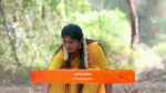 Meenakshi Ponnunga 11th April 2024 Episode 539 Watch Online