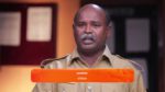 Nala Damayanthi 19th April 2024 Episode 165 Watch Online