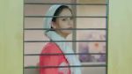 Premachi Gosht 22nd April 2024 Savni Celebrates Her Win Episode 203