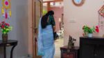 Radhaku Neevera Praanam 13th April 2024 Episode 291