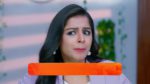 Seethe Ramudi Katnam 25th April 2024 Episode 177 Watch Online