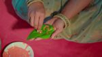Trinayani (Kannada) 2nd April 2024 Episode 978 Watch Online