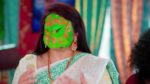 Trinayani (Kannada) 3rd April 2024 Episode 979 Watch Online