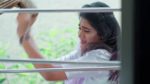 Jagadhatri (zee telugu) 13th May 2024 Episode 229 Watch Online