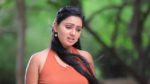 Lakshmi Baramma S2 29th May 2024 Keerthi confess the truth ! Episode 356