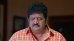 Nuvvu Nenu Prema 20th May 2024 Padmavathi Exposes Murali Episode 628
