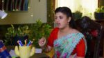 Paluke Bangaramayana 15th May 2024 Gowri Reminisces His Wife Episode 227