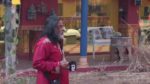 Bigg Boss Season 10 4th January 2017 Day 80: Om Swami strikes again! Episode 81