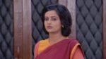 Bokul Kotha 12th October 2019 Episode 578 Watch Online