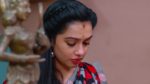 Annapoorna 25th June 2024 Episode 576 Watch Online