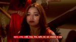 Ashtami (Zee Bangla) 11th June 2024 Episode 65 Watch Online