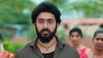 Maa Annaya (Zee Telugu) 12th June 2024 Episode 69 Watch Online