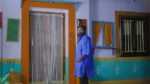 Paluke Bangaramayana 4th June 2024 Happy Moment for Nagarathnam Episode 244