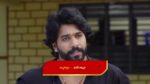 Paluke Bangaramayana 29th June 2024 Swaragini Defends Gowri Episode 266