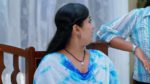 Sandhyaraaga 12th June 2024 Episode 291 Watch Online