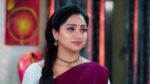 Trinayani (Kannada) 10th June 2024 Episode 1027 Watch Online