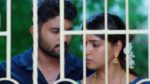 Ammayi Garu 26th July 2024 Episode 545 Watch Online