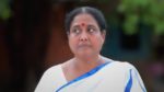 Anna (Tamil) 5th July 2024 Episode 390 Watch Online