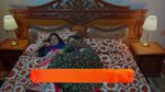 Jagadhatri (zee telugu) 16th July 2024 Episode 284 Watch Online