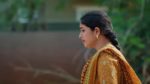 Maa Annaya (Zee Telugu) 16th July 2024 Episode 98 Watch Online