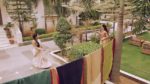Trinayani (Telugu) 15th July 2024 Episode 1291 Watch Online