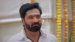 Anna (Tamil) 3rd August 2024 Episode 419 Watch Online