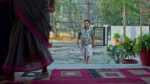 Trinayani (Kannada) 6th August 2024 Episode 1068 Watch Online
