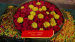 Maguva O Maguva 10th September 2024 Kesava Hits Chanti Episode 176