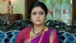 Maguva O Maguva 12th September 2024 Chanti Cautions Koushik Episode 178