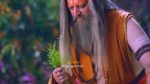 Shiv Shakti 24th September 2024 Ganesh’s miraculous recovery Episode 457
