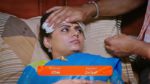 Lakshmi Nivasa 17th October 2024 Episode 352 Watch Online