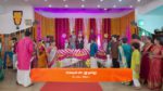 Sandhya Raagam (Tamil) 24th October 2024 Episode 352