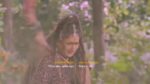 Shiv Shakti 20th October 2024 New Episode Episode 483