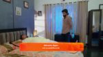 Valliyin Velan 21st October 2024 Episode 36 Watch Online