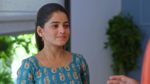 Paaru (Zee Marathi) 29th November 2024 Episode 277 Watch Online