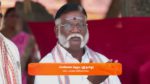 Sandhya Raagam (Tamil) 19th November 2024 Episode 374