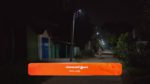 Sandhya Raagam (Tamil) 25th November 2024 Episode 382