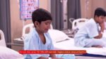 Anandi (Zee Bangla) 17th December 2024 Episode 86 Watch Online