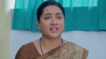 Annapoorna 15th November 2024 Episode 719 Watch Online
