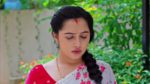 Annapoorna 25th November 2024 Episode 729 Watch Online