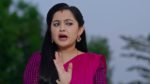 Annapoorna 20th December 2024 Episode 754 Watch Online