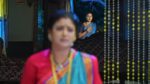 Maguva O Maguva 15th November 2024 Kesava Advises Chenchalamma Episode 233