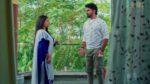 Meghasandesam (Zee Telugu) 20th December 2024 Episode 179