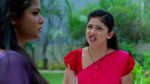 Nindu Noorella Saavasam 22nd December 2024 Episode 440