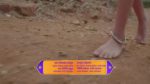 Ude Ga Ambe 27th December 2024 Raja Renu Announces the Winner Episode 68