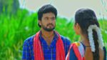 Maguva O Maguva 22nd November 2024 Chamundi, Ravi Babu’s Evil Plan Episode 239