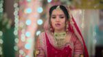 Vasudha (Zee Tv) 21st January 2025 Episode 93 Watch Online