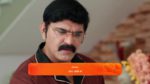 Ammayi Garu 5th February 2025 Episode 709 Watch Online