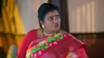 Maguva O Maguva 31st January 2025 Dayakar in a Bind Episode 299