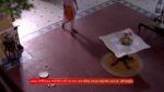 Anandi (Zee Bangla) 22nd March 2025 Episode 179 Watch Online